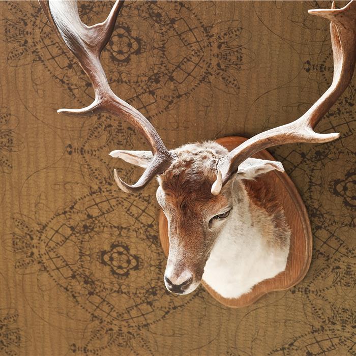 Realisatie interieur Moerzeke